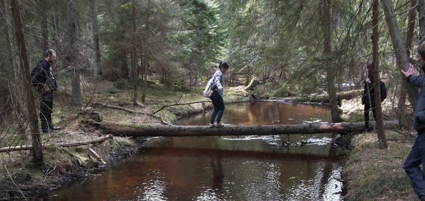 Lietuva. Dvi azijietės ir vienas milžinas pelkėje