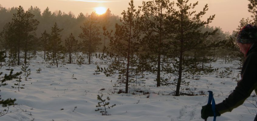 Lithuania. The homeland of cranberries