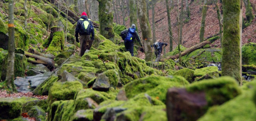 Sweden. Walking the tectonic crack